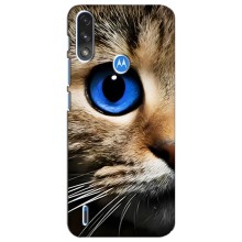 Чохли з Котиками для Motorola E7 Power (VPrint) (Око кота)