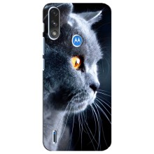 Чохли з Котиками для Motorola E7 Power (VPrint) (Сірий Кіт)