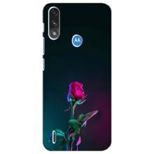 Чехлы с принтом Розочки для Motorola E7 Power – Ночная роза