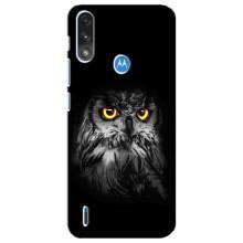 Чехлы с принтом СОВЫ для Motorola E7 Power – Сова на чёрном