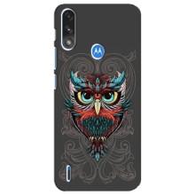Чехлы с принтом СОВЫ для Motorola E7 Power – Сова на сером