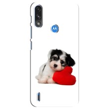 Чохли з собаками для Motorola E7 Power (VPrint) (Песик)