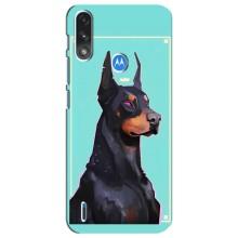 Чехол ДОБЕРМАН для Motorola E7 Power – Король доберман