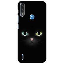 Чехол на тематику: Коты для Motorola E7 Power – Черный Котик