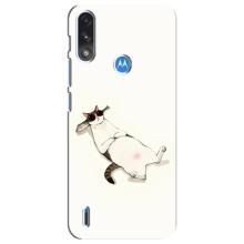 Чехол на тематику: Коты для Motorola E7 Power – Отдых