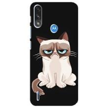 Чехол на тематику: Коты для Motorola E7 Power – Взгляд кота