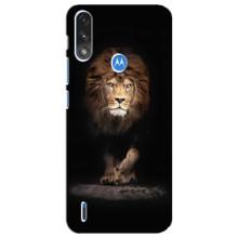 Чохол з картинкою на Motorola E7 Power – Гарний Лев