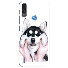 Бампер для Motorola E7 Power с картинкой "Песики" (Собака Хаски)