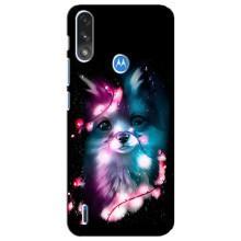 Чехол с Лисичкой для Motorola E7 Power – Черная Лиса