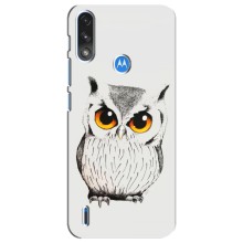 Чохол з пташками на Motorola E7 Power (VPrint) (Мила Сова)
