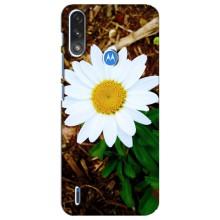 Чехол с ромашками на Motorola E7 Power – Белая ромашка