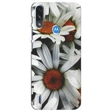 Чехол с ромашками на Motorola E7 Power – Цветы Ромашки