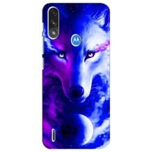 Чохол з Вовком на Motorola E7 Power – Арт-Вовк