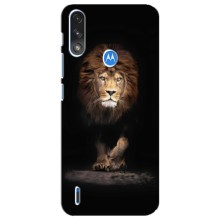 Чохол з картинкою ЛЕВ для Motorola E7 Power (VPrint) (Лев)
