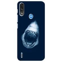 Силиконовый бампер с картинкой животных для Motorola E7 Power – Пасть Акулы