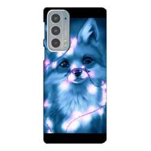 Фотографія - Чохли з картинкою Лисички для Motorola Edge 20 (VPrint) Фотографія - Чохли з картинкою Лисички для Motorola Edge 20 (VPrint)