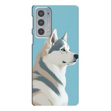 Чохол з Хаскі Motorola Edge 20 - (AlphaPrint) (Хаскі арт)