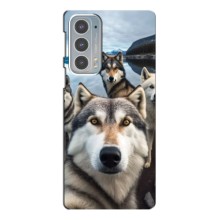 Чохол з Хаскі Motorola Edge 20 - (AlphaPrint) (Селфі Хаскі)