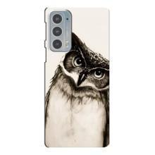 Чехол с птицами на Motorola Edge 20 (VPrint) – Сова