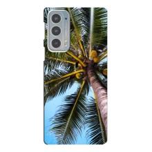 Силиконовый чехол с КАРТИНКАМИ лето для Motorola Edge 20 (AlphaPrint) – Пальма