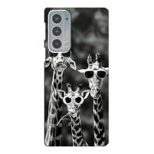 Силиконовый чехол с КАРТИНКАМИ лето для Motorola Edge 20 (AlphaPrint) – Жирафы в очках