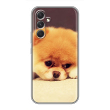 Чехол (ТПУ) Милые собачки для Motorola Edge 30 Pro – Померанский шпиц