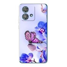 Чехлы с Цветами для Motorola Edge 40 Neo (VPrint) (Бабочка на цветочке)