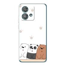 Чехлы с изображением разных животных для Motorola Edge 40 Neo (Удивленные медвеженки)