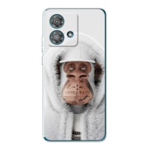 Чехлы с Обезьянами NFT для Motorola Edge 40 Neo (AlphaPrint) (обезьяна NFT в тату)