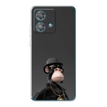 Чехлы с Обезьянами NFT для Motorola Edge 40 Neo (AlphaPrint) (Обезьяна NFT)