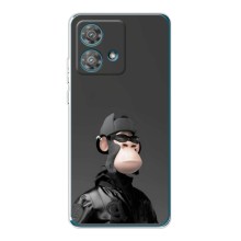 Чехлы с Обезьянами NFT для Motorola Edge 40 Neo (AlphaPrint) (стильная обезьяна NFT)