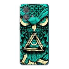 Чехлы с принтом СОВЫ для Motorola Edge 40 Neo – Зеленая сова