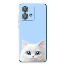 Чехол на тематику: Коты для Motorola Edge 40 Neo – Белый кот