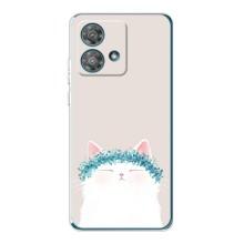 Чехол на тематику: Коты для Motorola Edge 40 Neo – Белый котик