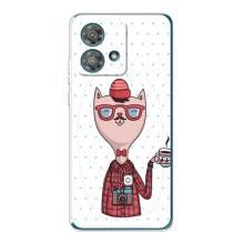 Чехол на тематику: Коты для Motorola Edge 40 Neo – Кот аристократ