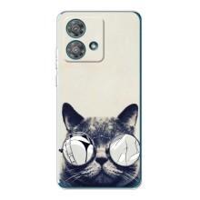 Чехол на тематику: Коты для Motorola Edge 40 Neo – Модный кот