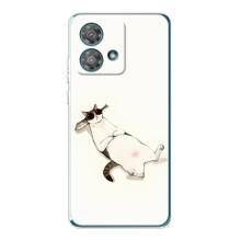Чехол на тематику: Коты для Motorola Edge 40 Neo – Отдых