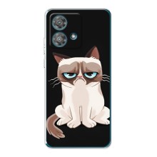 Чехол с принтом для Motorola Edge 40 Neo (AlphaPrint) Модные коты (Грустный кот)