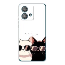 Чехол с рисунком кот на Motorola Edge 40 Neo (Коты в очках)