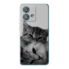 Чехол с рисунком кот на Motorola Edge 40 Neo (Пара котов)