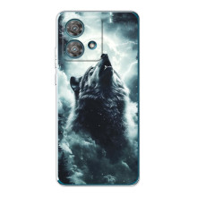 Чехол с картинкой «Хищники» для Motorola Edge 40 Neo