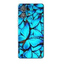 Силиконовый бампер с картинкой животных для Motorola Edge 40 Neo (Крылья бабочек)
