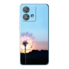 Силиконовый Чехол с одуванчиками на Motorola Edge 40 Neo – Закат с одуванчиком