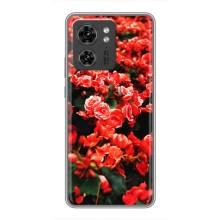 Чехлы с Цветами для Motorola Edge 40 Pro (VPrint) (Цветы красные)