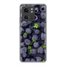 Чехлы с Фруктами для Motorola Edge 40 Pro (VPrint) (Ежевика)