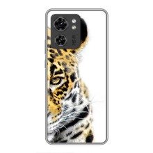 Чехлы с картинками животных Motorola Edge 40 Pro (Леопард)