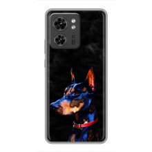 Чехлы с картинками животных Motorola Edge 40 Pro (Собака)