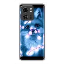 Чехлы с картинкой Лисички для Motorola Edge 40 Pro (VPrint) (Яркая лисичка)