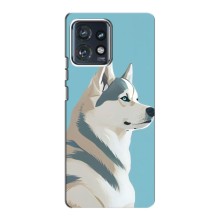 Чехол с Хаски для Motorola Edge 40 Pro - (AlphaPrint) (Хаски арт)