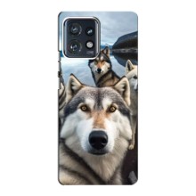 Чехол с Хаски для Motorola Edge 40 Pro - (AlphaPrint) (Селфи ХАски)